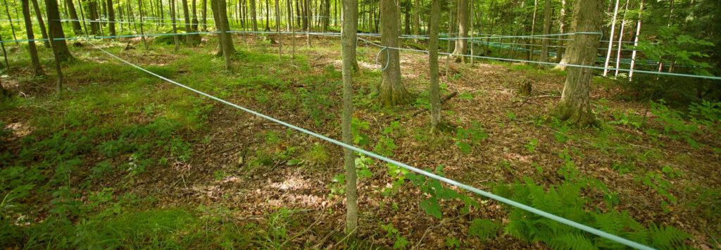 Monitoring & Reporting