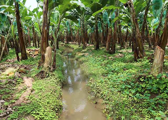 Soil & Water: a source of life