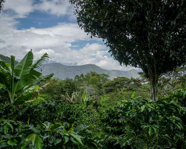 Maintien de l’intégrité pour les objectifs du Scope 3