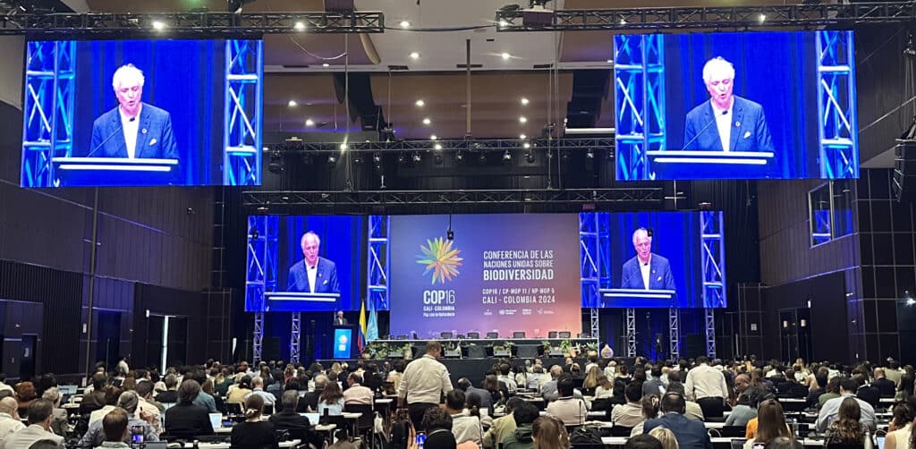 Reflections from COP16